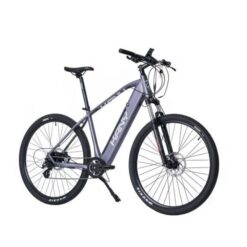 Bicicleta Kany Eléctrica R29/ 350w 25 Km/H F. Disco 36v Alum. Gris (57221)